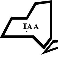 Independent Association of Accountants