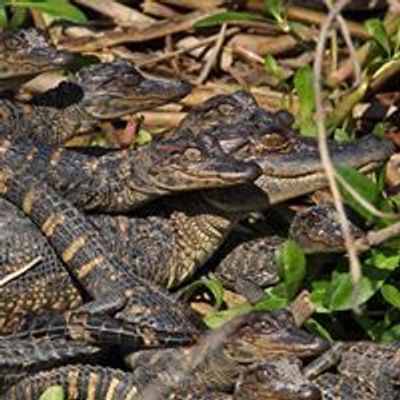 Armand Bayou Nature Center