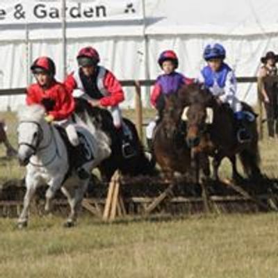 Shetland Performance Display Team