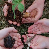 Nature School and Education Centre