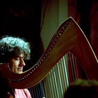 Michael Johnson Harpist