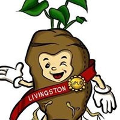 Livingston Recreation