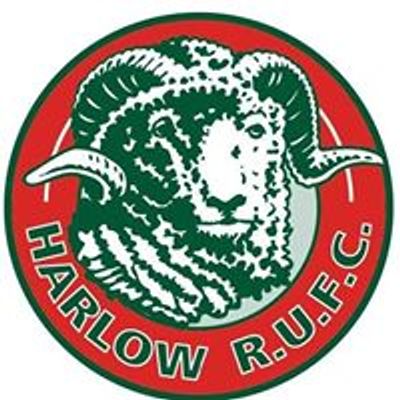 Harlow Rugby Club