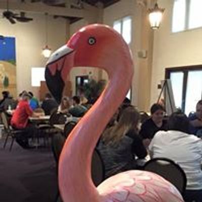 Flamingocon, Inc.