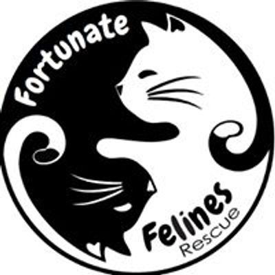 Fortunate Felines Rescue