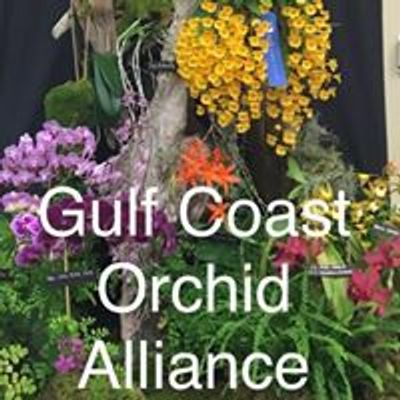 Gulf Coast Orchid Alliance