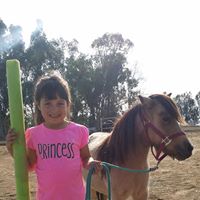 CLM Farms-Quality Kids Riding Lessons and Day Camps