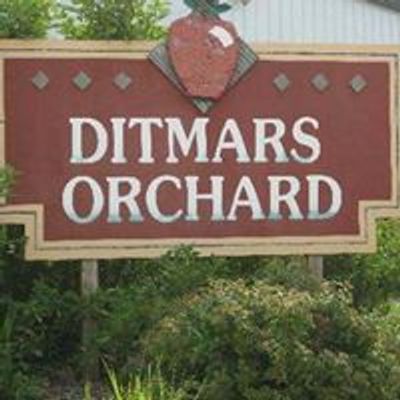 Ditmars Orchard & Vineyard