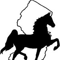 American Saddlebred Horse Association of New Jersey