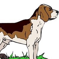 Auckland Beagle Club (Inc)