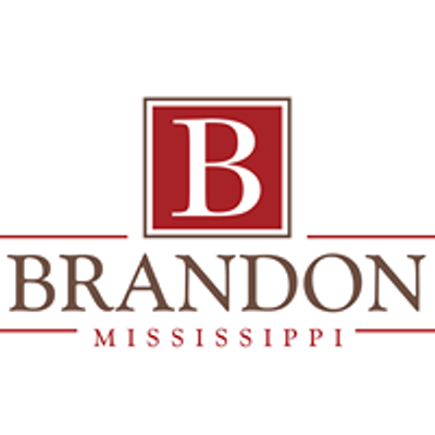 City of Brandon Government