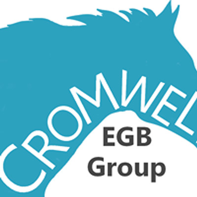 Cromwell Endurance GB Group