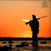 Rochester Mn Ducks Unlimited