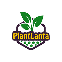 Plantlanta