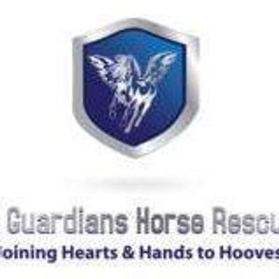 Animal Guardians Horse Rescue, Inc.