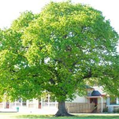 Upper Hutt School