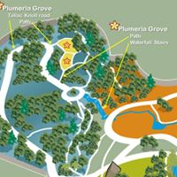 Los Angeles County Arboretum Plumeria Grove