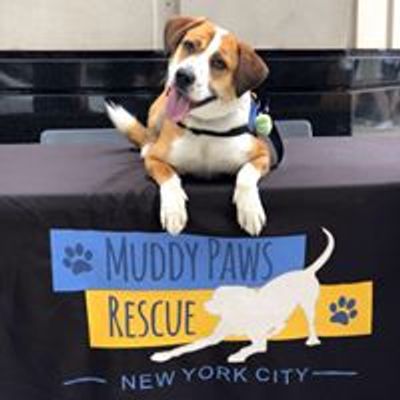 Muddy Paws Rescue NYC