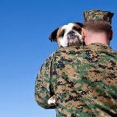 Vets for Vets' Pets