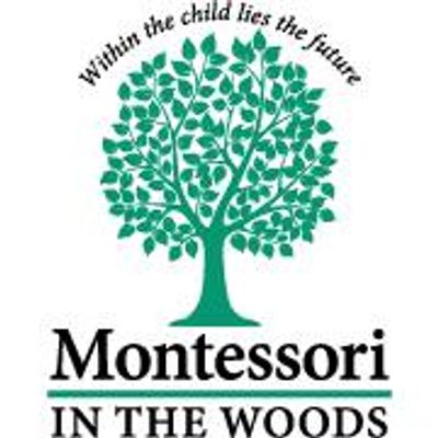 Montessori In The Woods