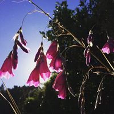 Whangarei Garden Discovery