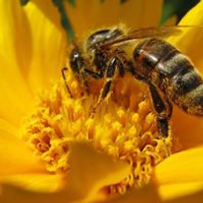 Northern Nevada Beekeepers Association
