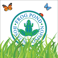 The Boston Common Frog Pond