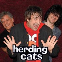 Herding Cats The Band