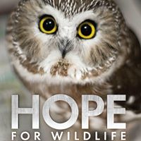 Hope For Wildlife