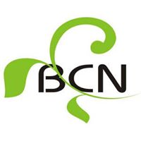 Belfast Community Network