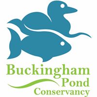 Buckingham Pond Conservancy