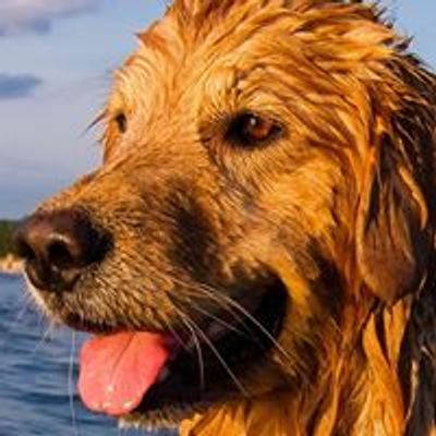 Northwest Michigan Golden Retriever Club