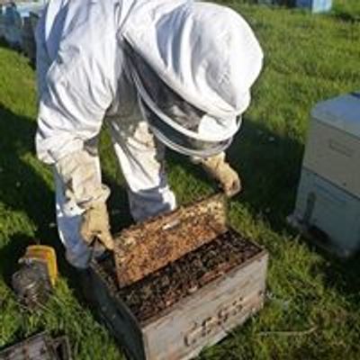 Geelong Beekeepers Club Inc.