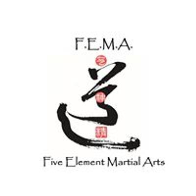 Five Element Martial Arts & Healing Center