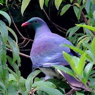 Whangarei Quarry Gardens