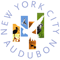 NYC Audubon