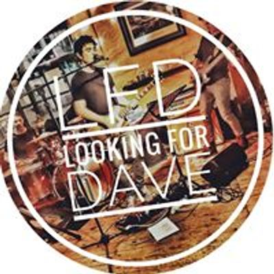 Looking For Dave