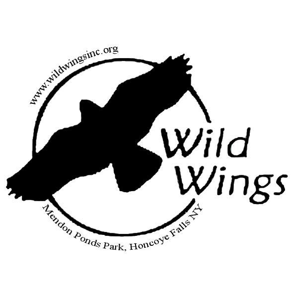 Wild Wings and Teddy the Snowy Owl Visit The Bird House! The Bird