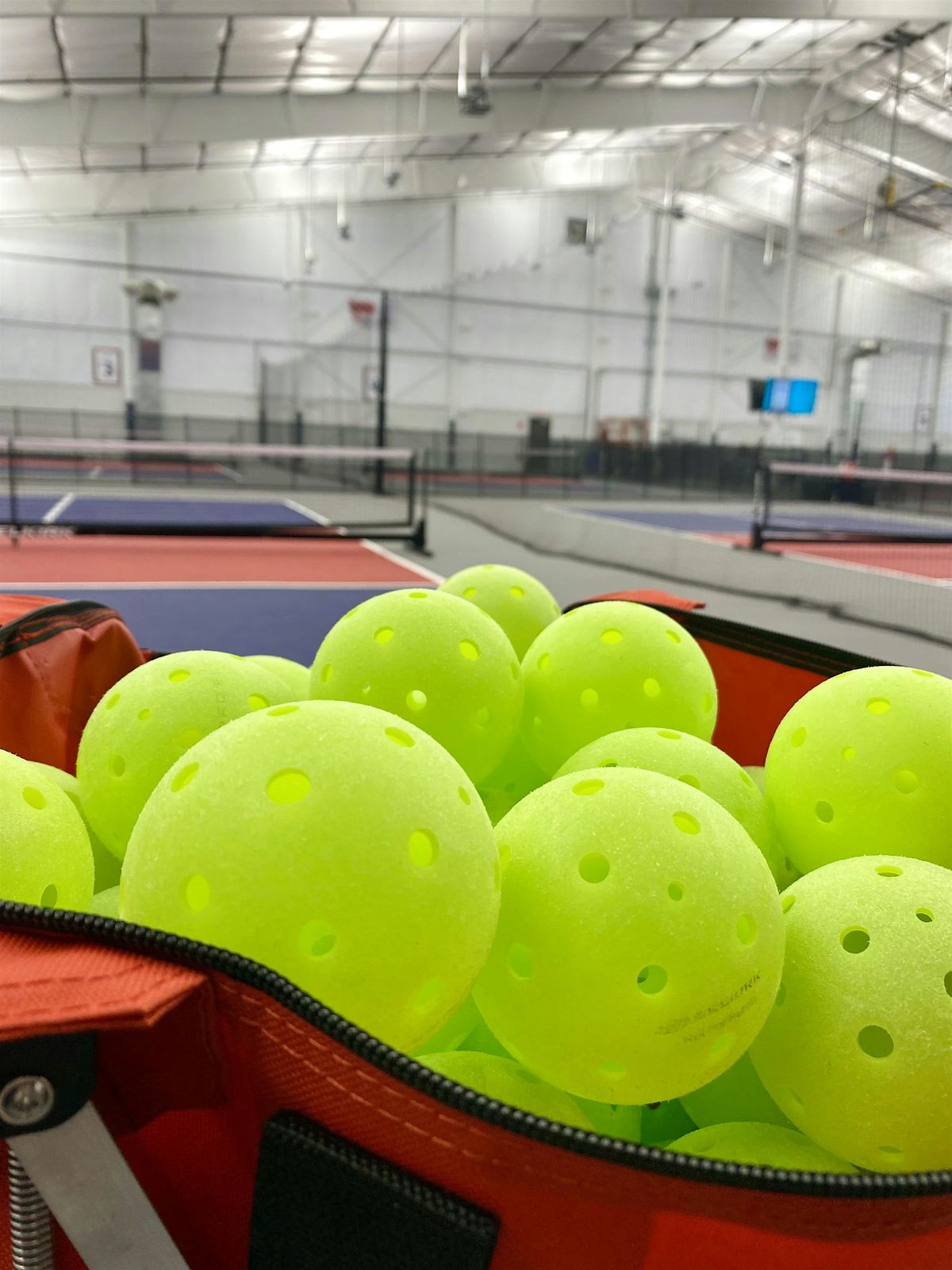 Learn to Play Pickleball!