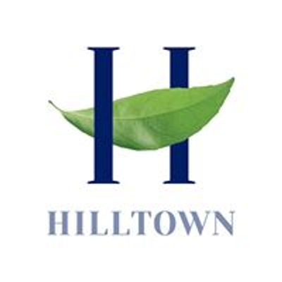 Hilltown AVM