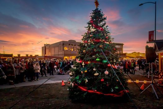 Cayucos Christmas Dec 2022 Cayucos Christmas Tree Lighting | Cayucos, Ca | December 5, 2021