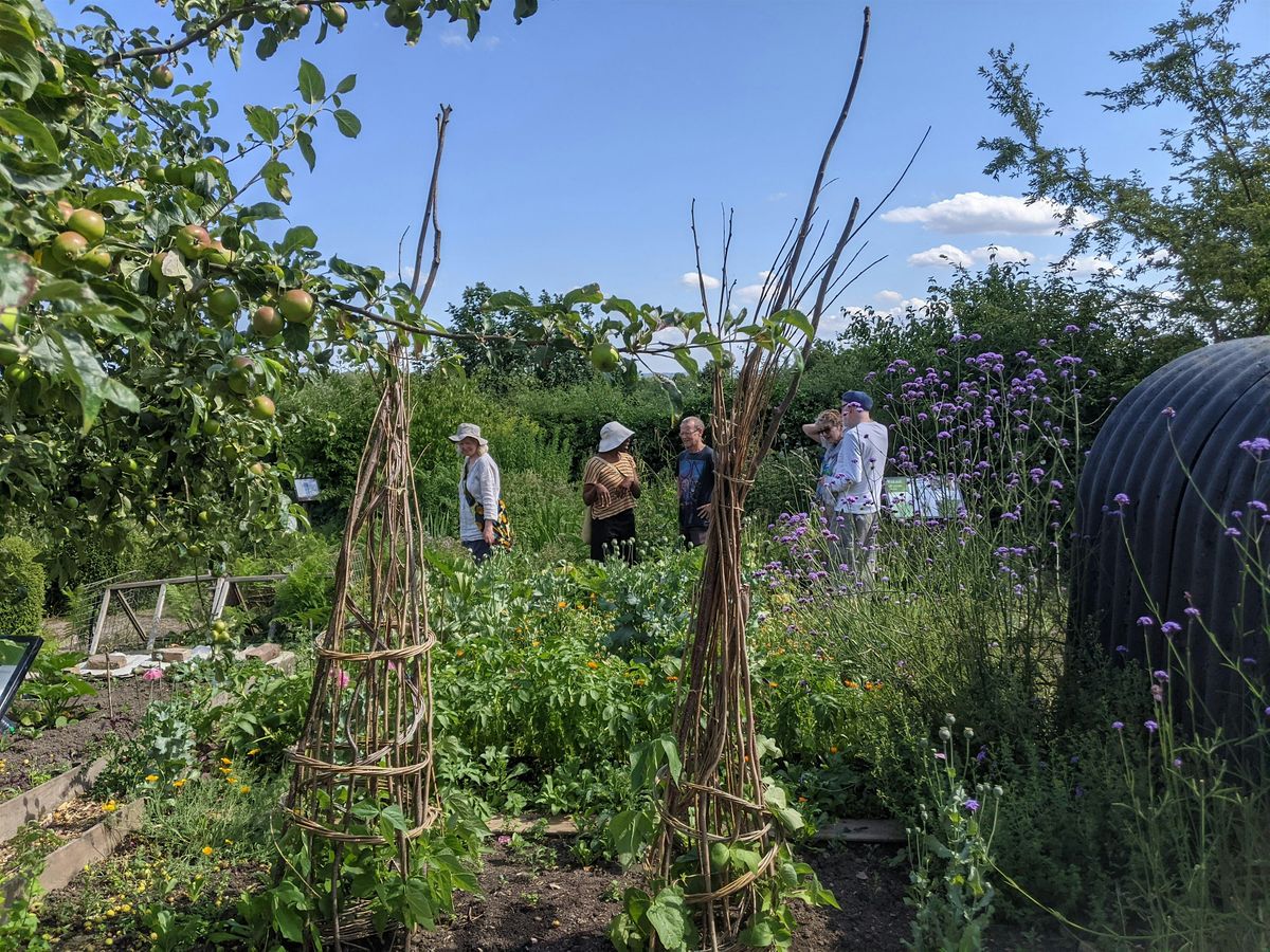 Full day Permaculture workshop