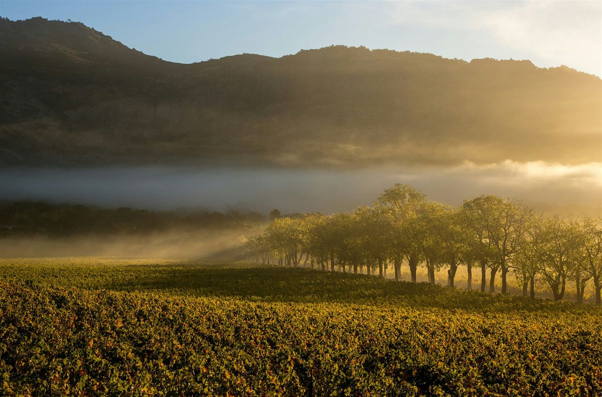 Chart House - Stags' Leap Wine Dinner - Cardiff