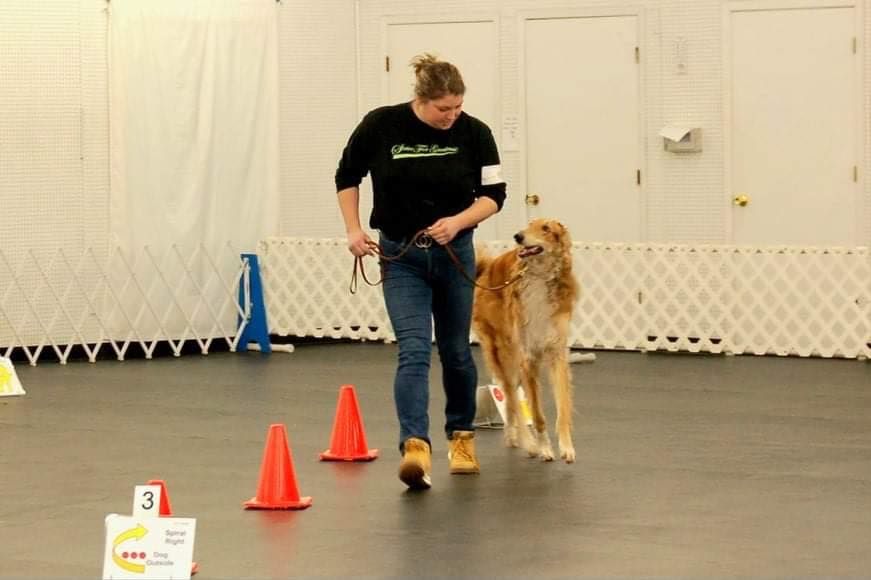 June Obedience and Rally Fun Matches