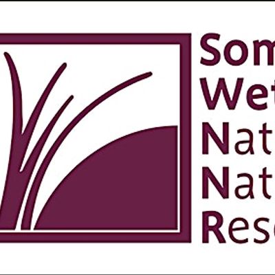 Somerset Wetlands NNR, Natural England