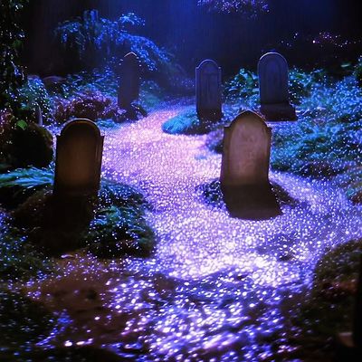 Deadly Shines