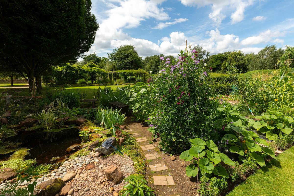 Visit our organic demonstration garden - Garden Organic Open Days