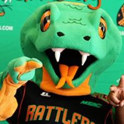 FAMU Athletics