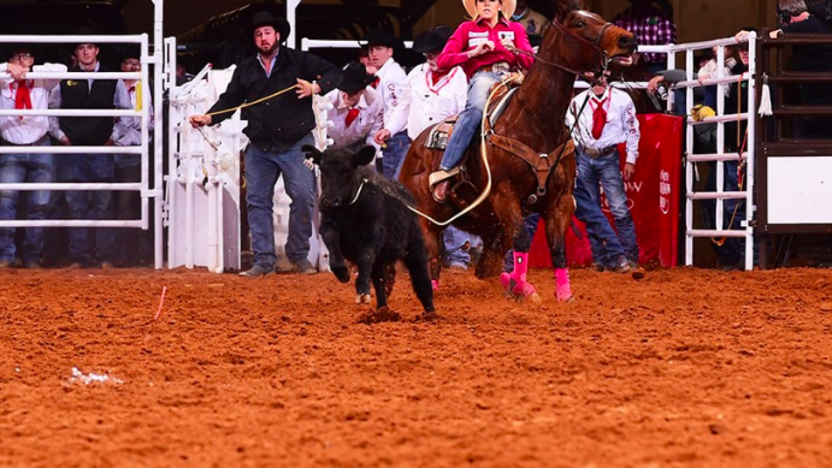 Parking FWSSR: PRORODEO Tournament - Semi-Final Round B