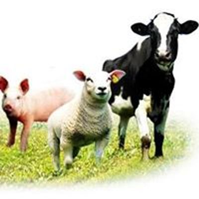 Washington County Livestock Association